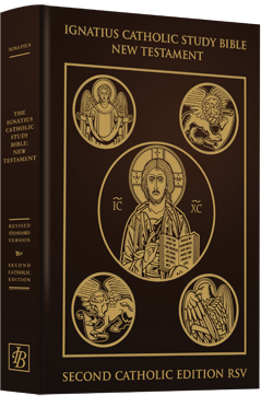 catholic bible online free pdf